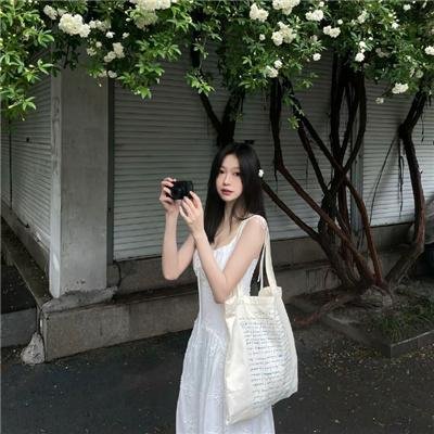 牛群